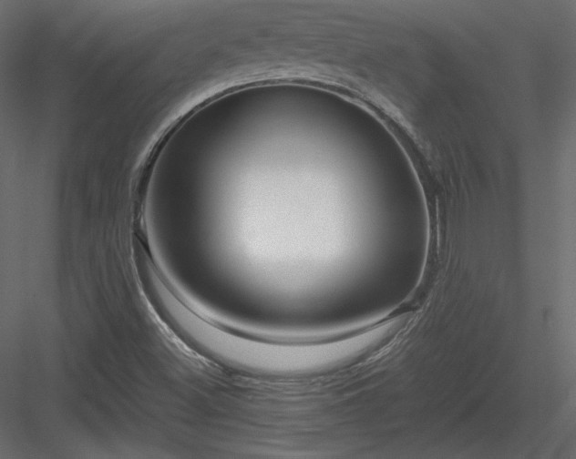 X0000083981500200702232030