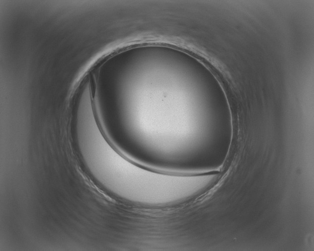 X0000083981502200702232030