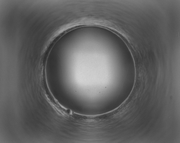 X0000083981507200702232031