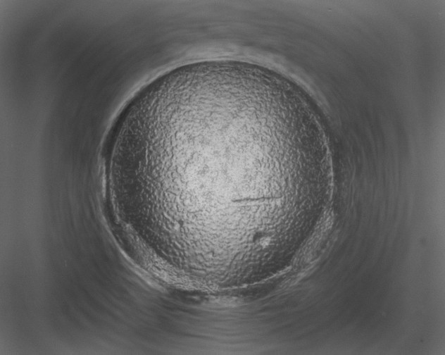 X0000083981509200702232031