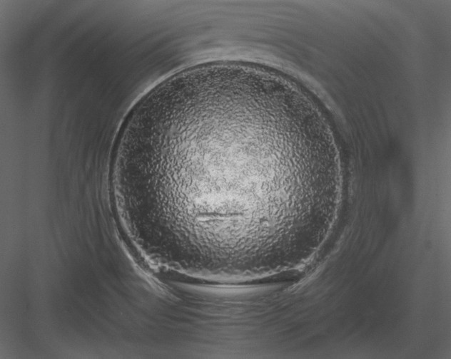 X0000083981513200702232031