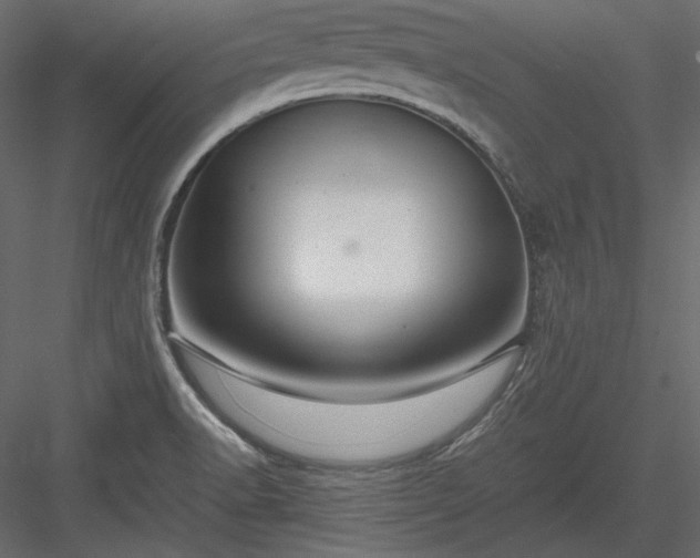X0000083981518200702232031