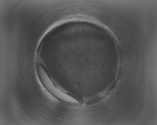 X0000083981522200702232031