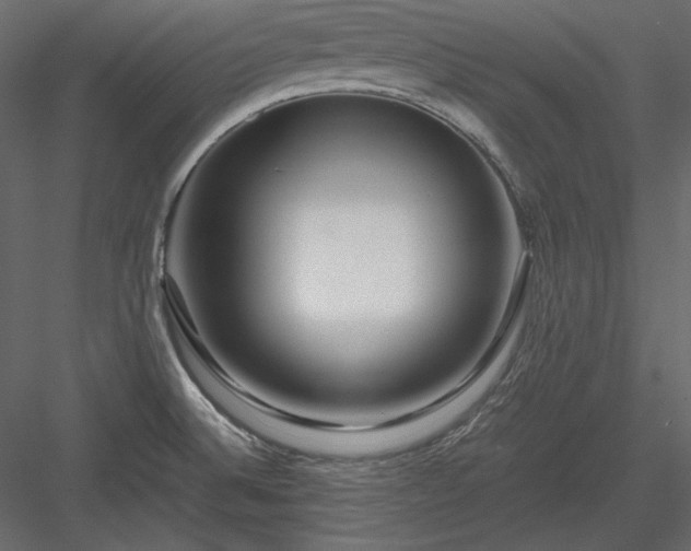 X0000083981524200702232031