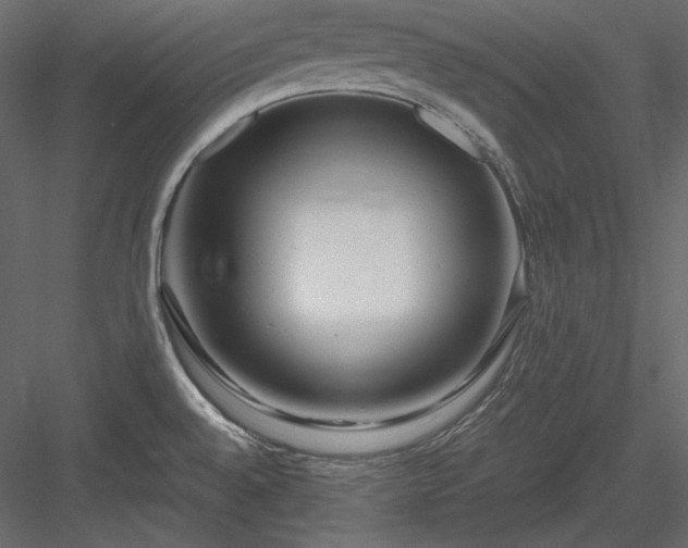 X0000083981528200702232031