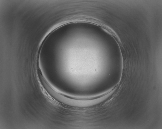 X0000083981530200702232031