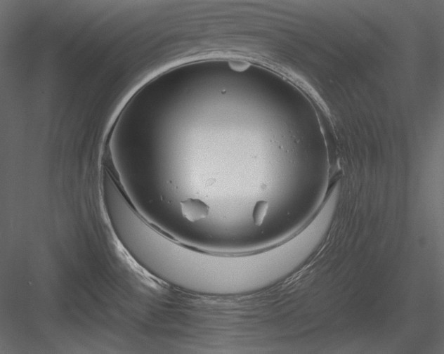 X0000083981532200702232031