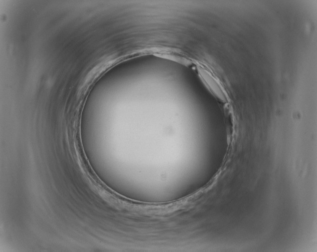 X0000083980001200703021925