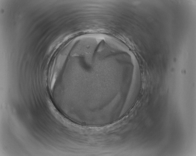 X0000083980002200703021925