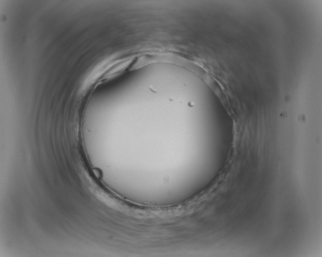 X0000083980005200703021925