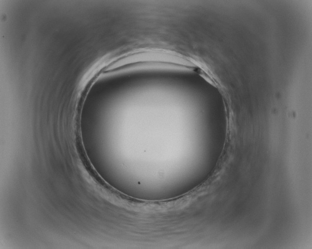 X0000083980007200703021925