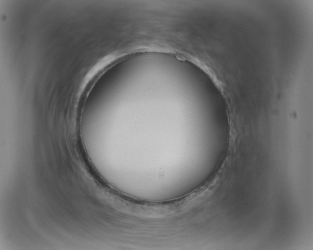 X0000083980008200703021925