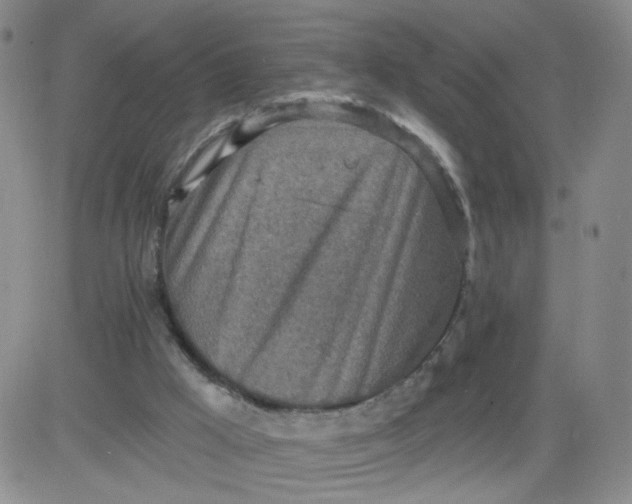 X0000083980009200703021925