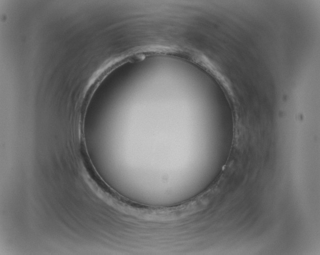 X0000083980011200703021925