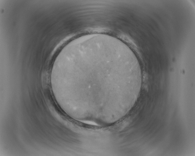 X0000083980012200703021925