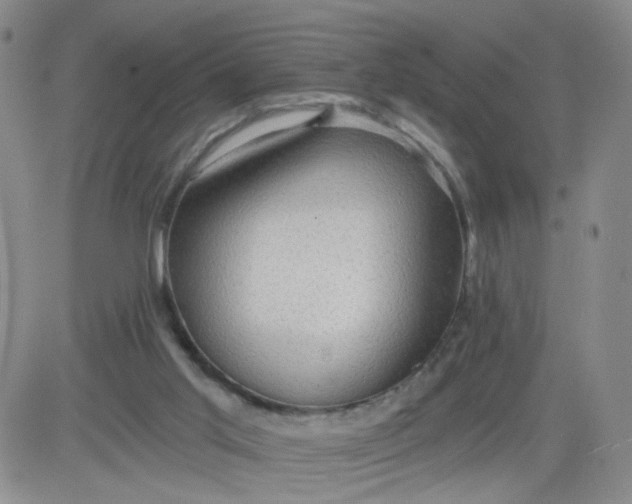 X0000083980013200703021925