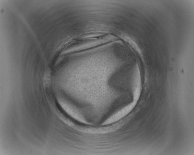 X0000083980017200703021925