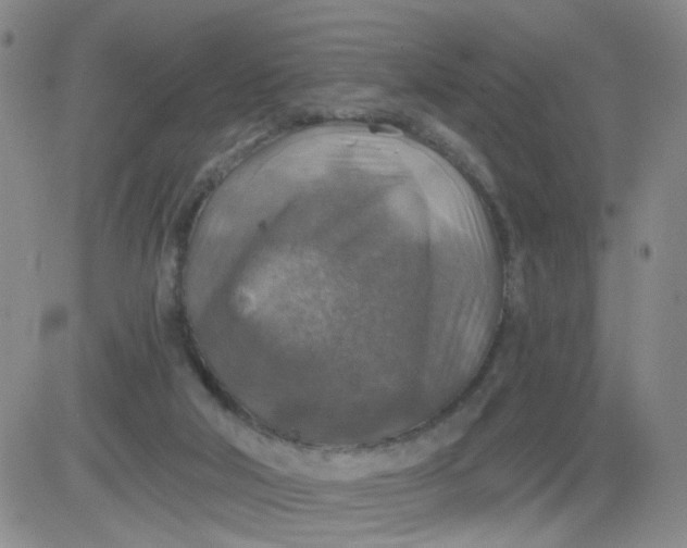 X0000083980018200703021925