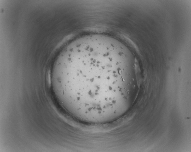 X0000083980020200703021924