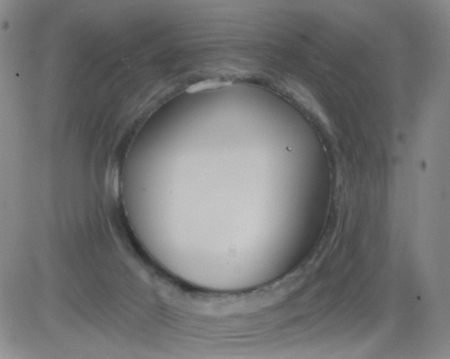 X0000083980021200703021924