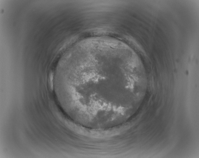 X0000083980022200703021924