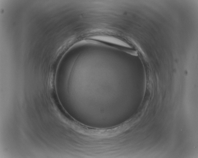 X0000083980023200703021924