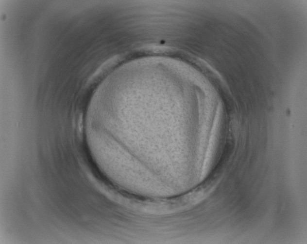 X0000083980024200703021924