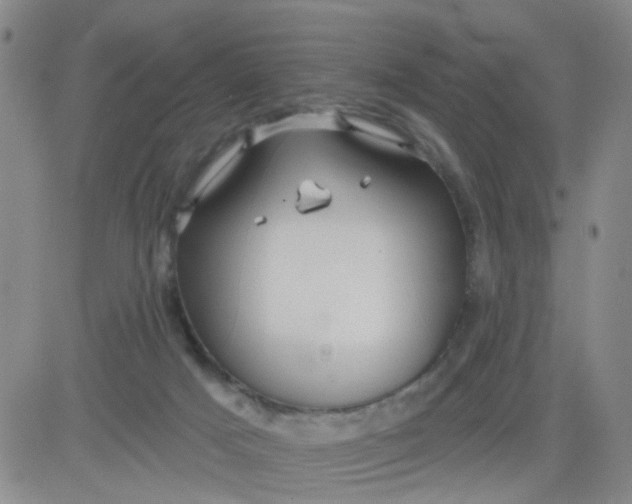 X0000083980025200703021924