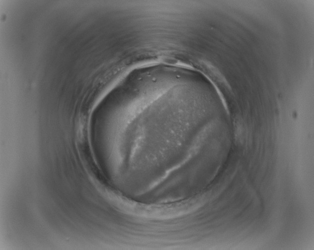 X0000083980026200703021924