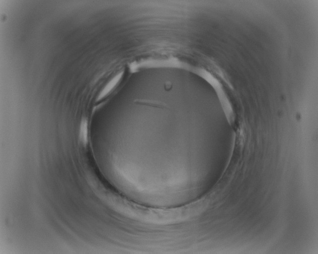 X0000083980027200703021924