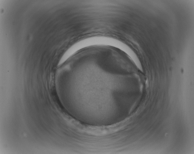 X0000083980029200703021924