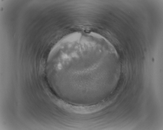 X0000083980030200703021924