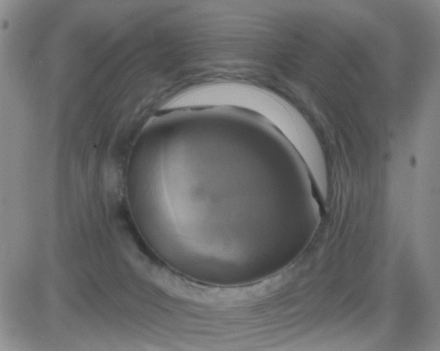 X0000083980031200703021924