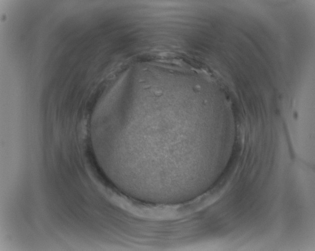 X0000083980032200703021924