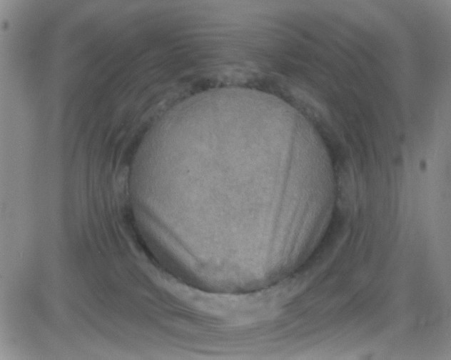 X0000083980034200703021924