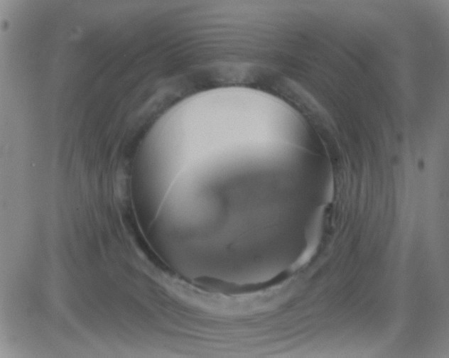 X0000083980035200703021924