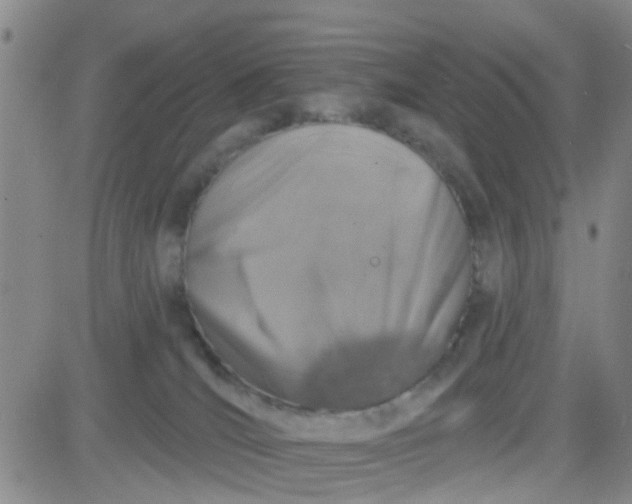 X0000083980036200703021924