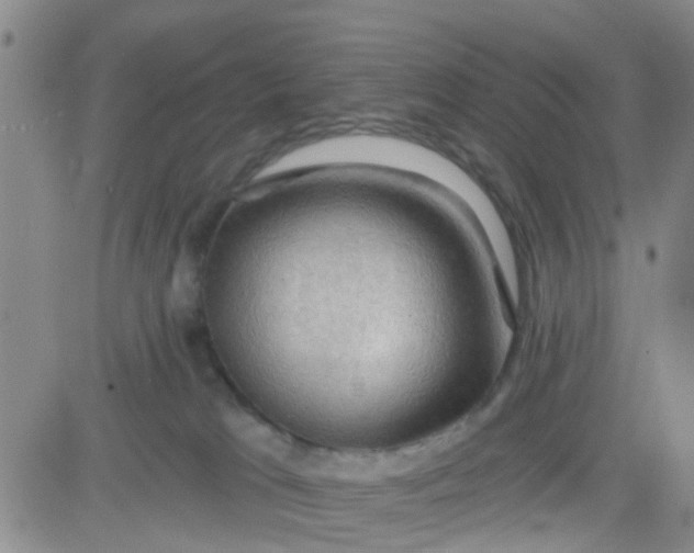 X0000083980037200703021924