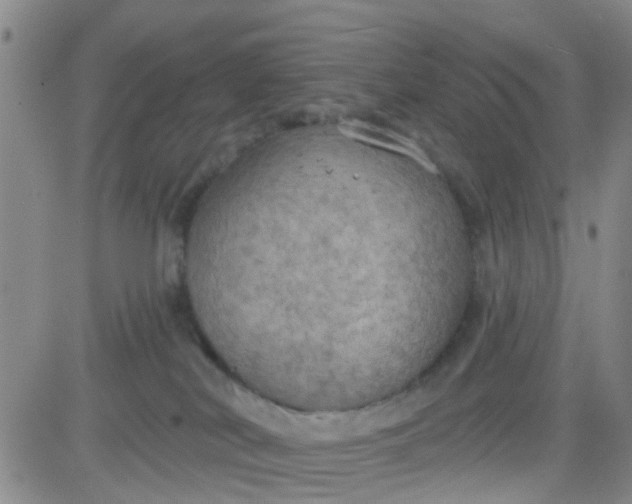 X0000083980038200703021924