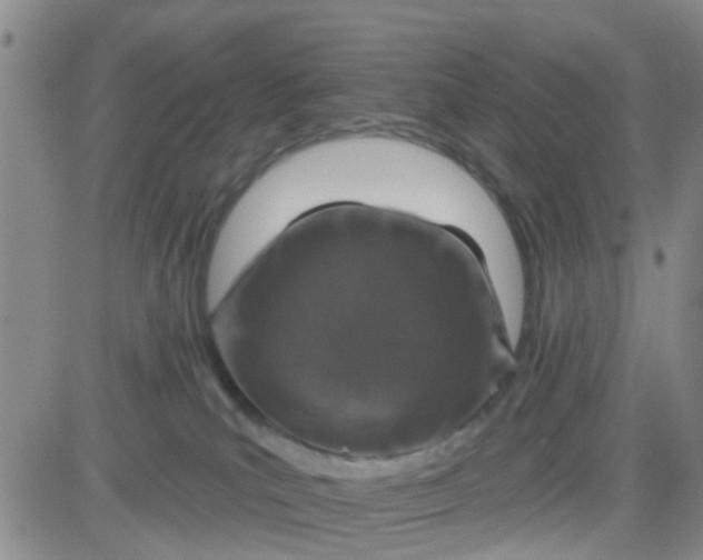 X0000083980039200703021924