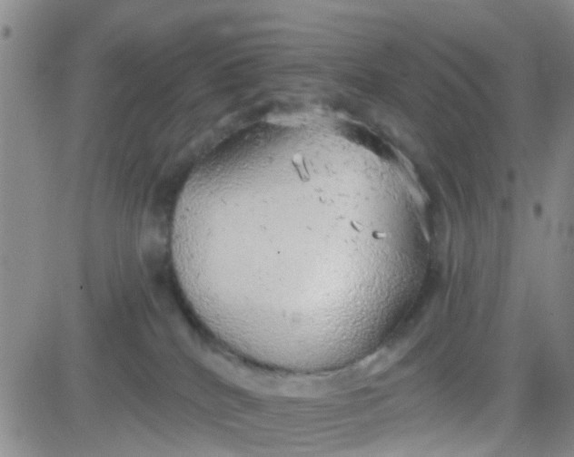 X0000083980040200703021924