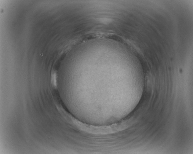 X0000083980042200703021924