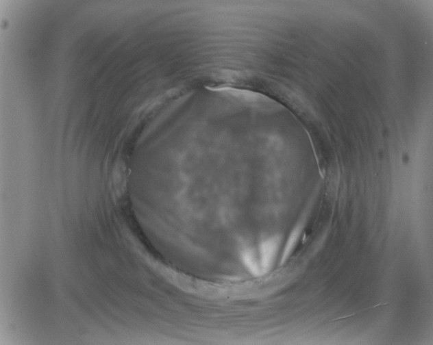 X0000083980043200703021924