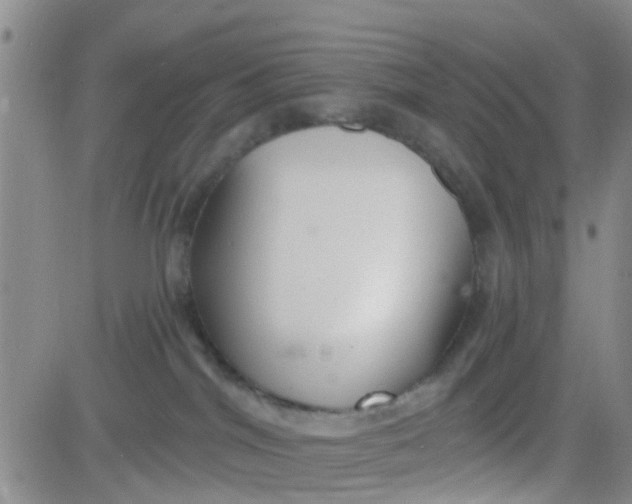 X0000083980044200703021924