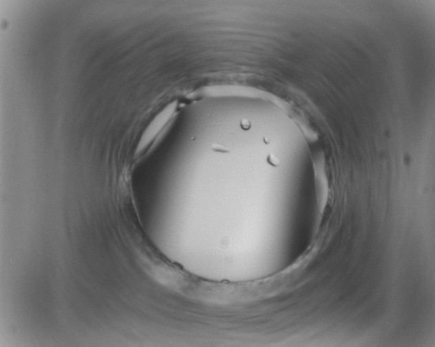 X0000083980045200703021924