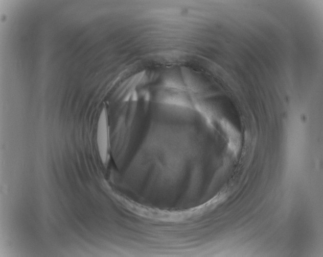 X0000083980048200703021924