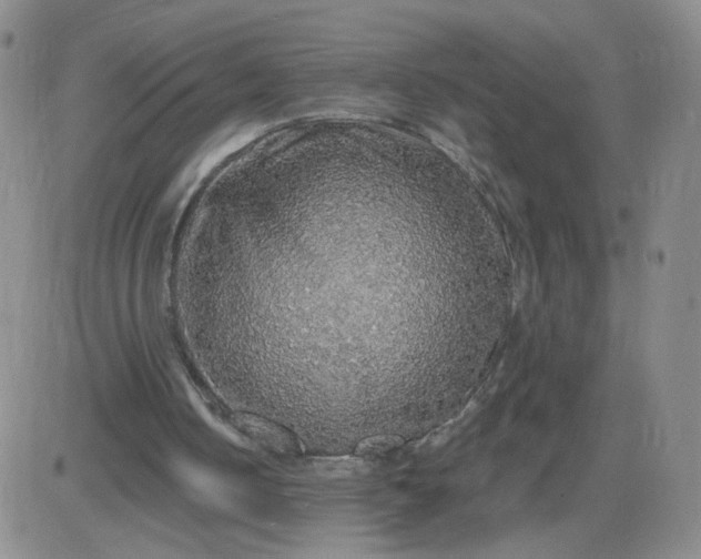 X0000083980050200703021923