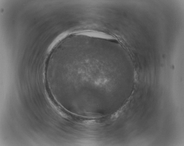 X0000083980054200703021923