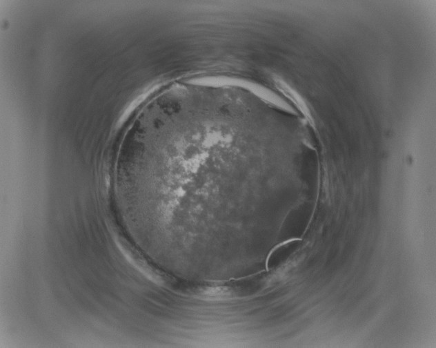 X0000083980059200703021923