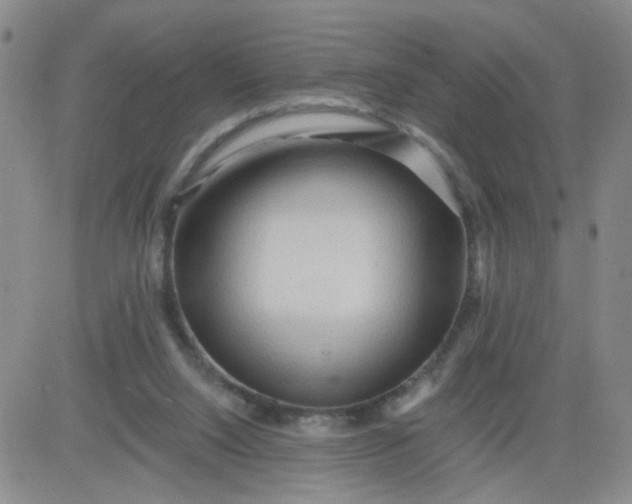 X0000083980064200703021923